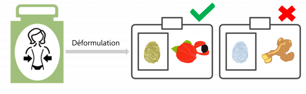 Phytoprofilage : Outil d'identification des plantes dans la compléments alimentaires et de contrôle de la conformité des formules.